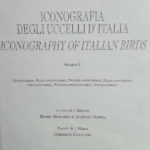 LITHOGRAPHIES DE UMBERTO CATALANO 2