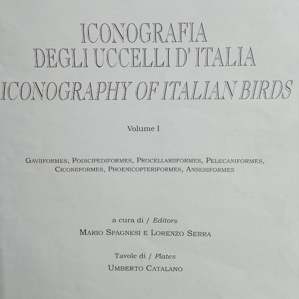 LITHOGRAPHIES DE UMBERTO CATALANO  2